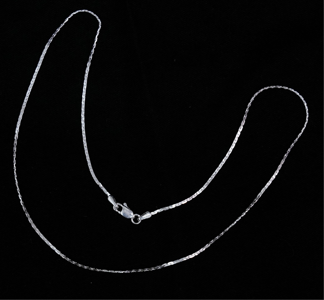 Sleek Fancy Chain Necklace